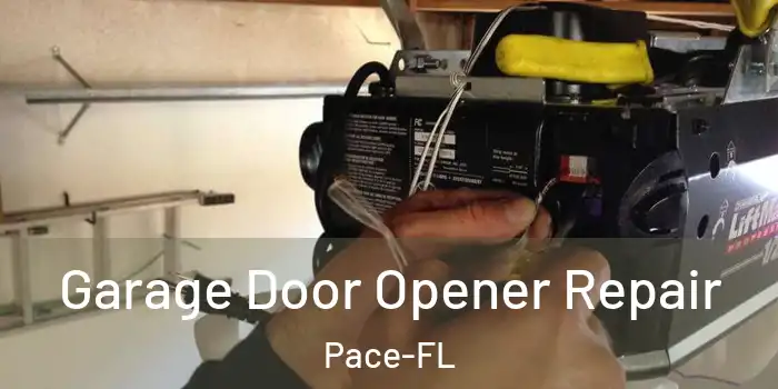 Garage Door Opener Repair Pace-FL